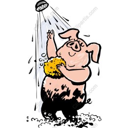 Bath Time Pig