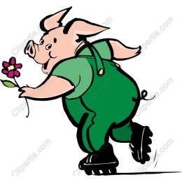 Charming Skating Pig