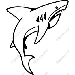 Dynamic Shark