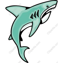 Vibrant Shark