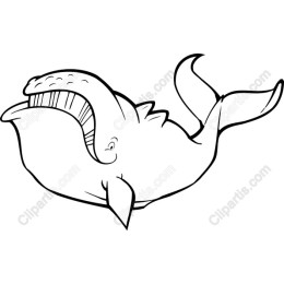 Playful Whale