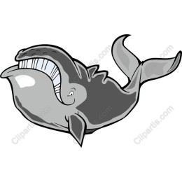 Joyful Whale