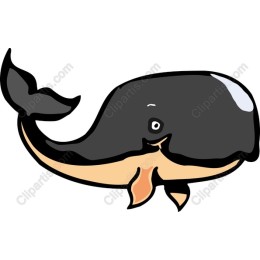 Playful Whale