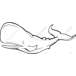 Sperm Whale
