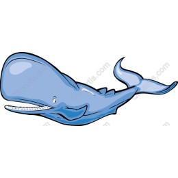 Playful Whale