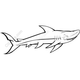Dynamic Shark