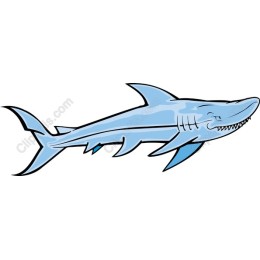 Stylized Blue Shark