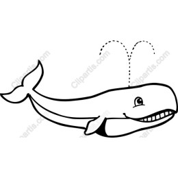 Charming Whale