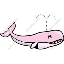 Charming Pink Whale