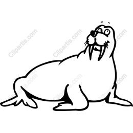 Whimsical Walrus
