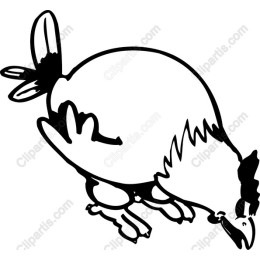 Playful Chicken