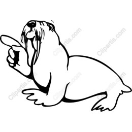 Playful Walrus