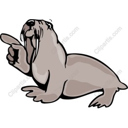 Pointing Walrus