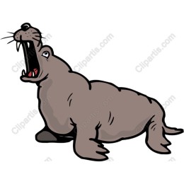 Playful Seal