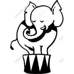 Circus Elephant