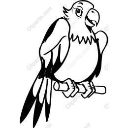 Cheerful Parrot