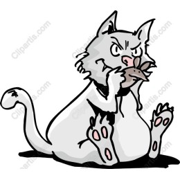 Feisty Feline