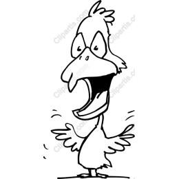 Whimsical Cartoon Bird