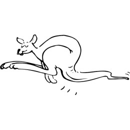 Playful Kangaroo