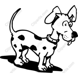 Playful Dog
