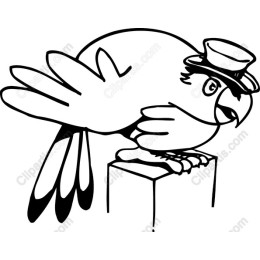 Charming Parrot with Hat