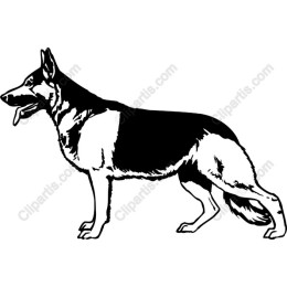 German Shepherd