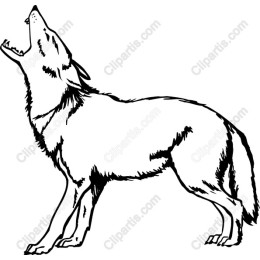 Howling Wolf Drawing