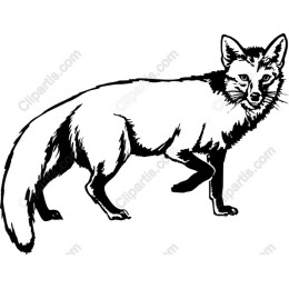 Elegant Fox
