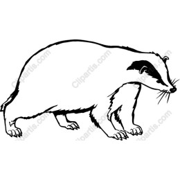 Badger
