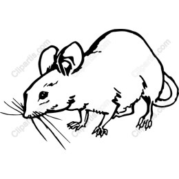 Charming Mouse