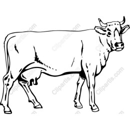 Rustic Cow