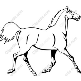 Galloping Horse