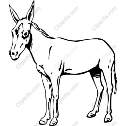 Charming Donkey