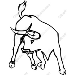 Bold Bull