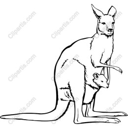 Kangaroo and Joey