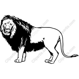 Majestic Lion