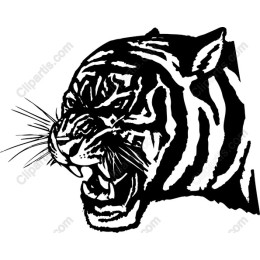 Roaring Tiger