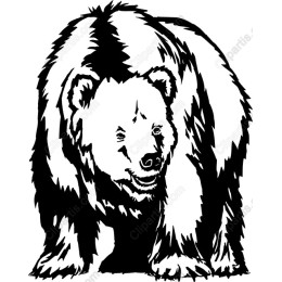 Majestic Bear