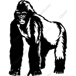 Majestic Gorilla