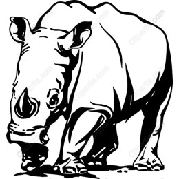 Rhinoceros - Bold Black and White