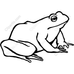 Minimalist Frog