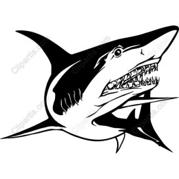 Fierce Shark