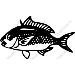 Elegant Fish