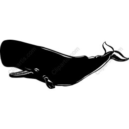 Majestic Whale
