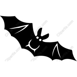 Playful Black Bat