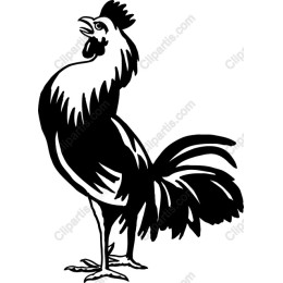 Proud Rooster