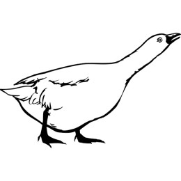 Goose