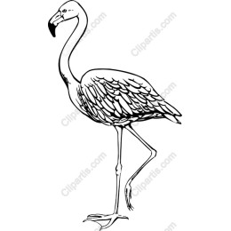 Elegant Hand-Drawn Flamingo