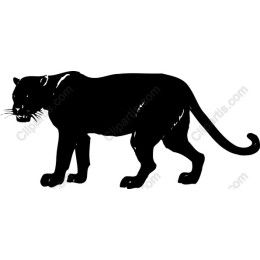 Panther