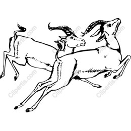 Majestic Antelope